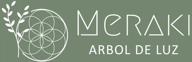 Meraki